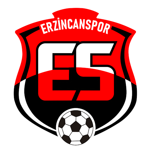 Erzincan Futbol Yatırımları A.Ş. logosu