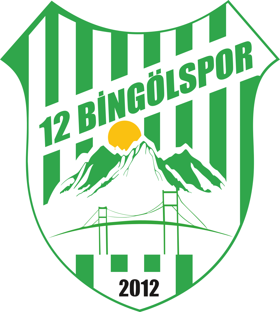 12 Bingölspor logosu